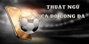 thuat ngu ca do bong da 1