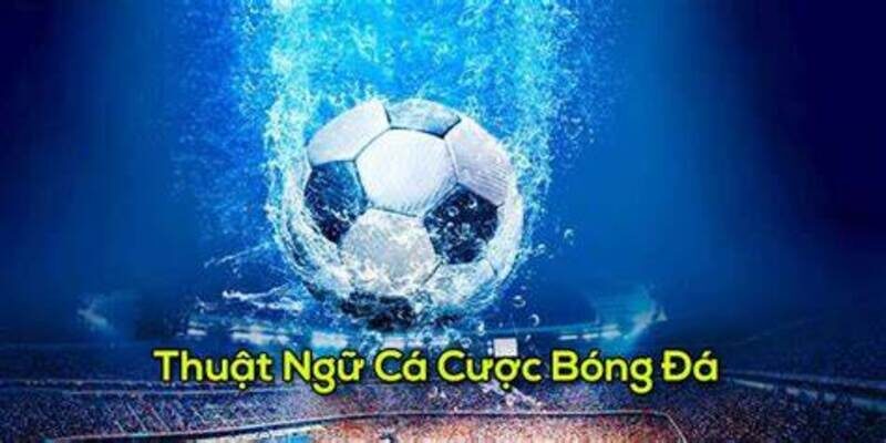 Nhiều thuật ngữ mới lạ thường thấy khi chơi cược bóng